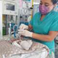La Secretaría de Salud destaca la entrega y vocación del personal de enfermería en Querétaro