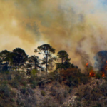 Incendio forestal Cadereyta